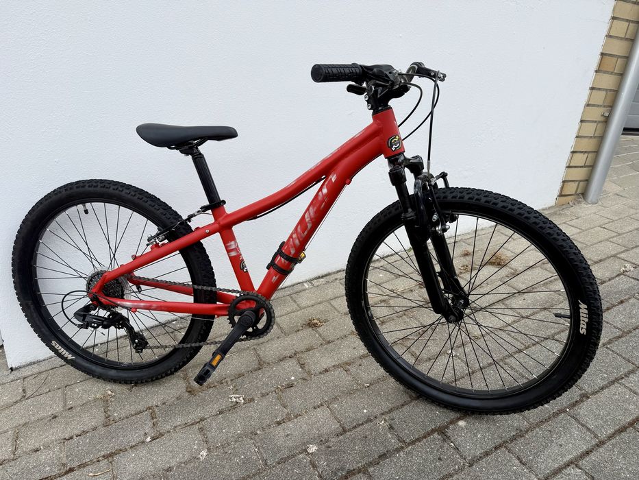 Coluer Ascent 241 roda 24