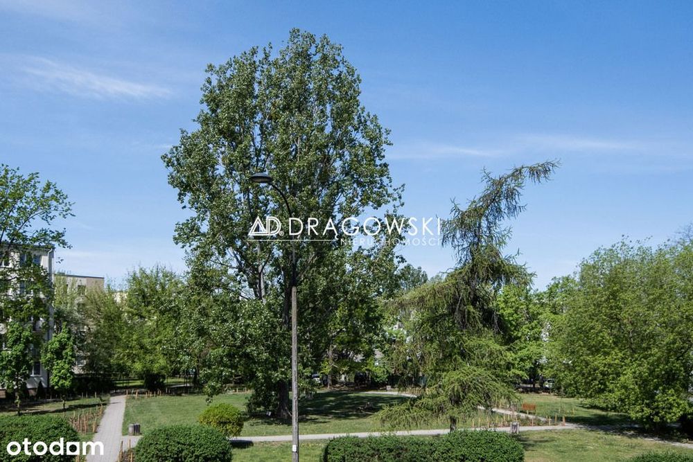 Widne mieszkanie na Sadybie z potencjałem na 2 pok - View 5