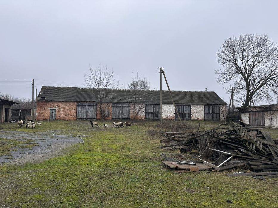 Приміщення , ангари , оренда , ферми,продаж , Село пятка