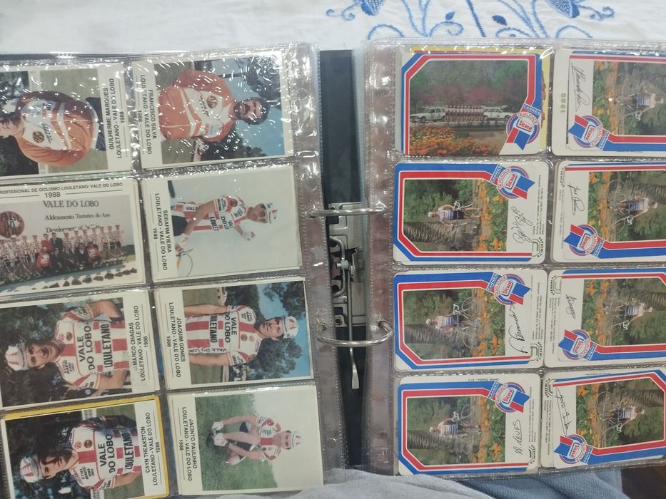 Coleção de calendários de bolso