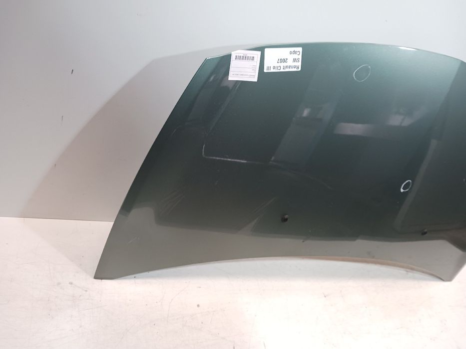 Capot RENAULT Clio III (BR0/1, CR0/1)
