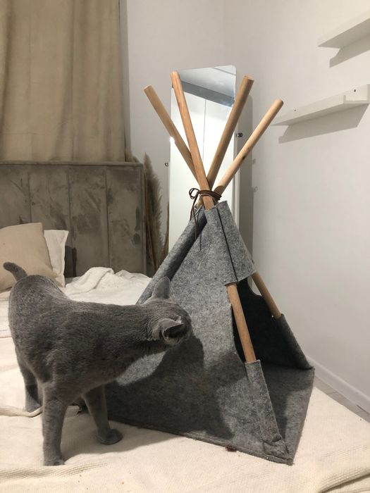 Teppy dla kota z poduszką