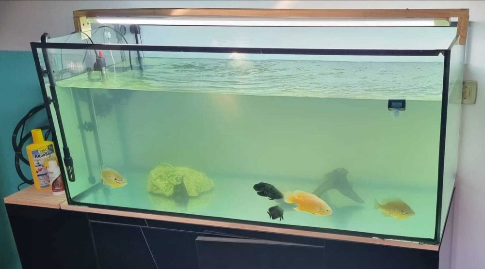 vendo aquário  para peixes ou repteis