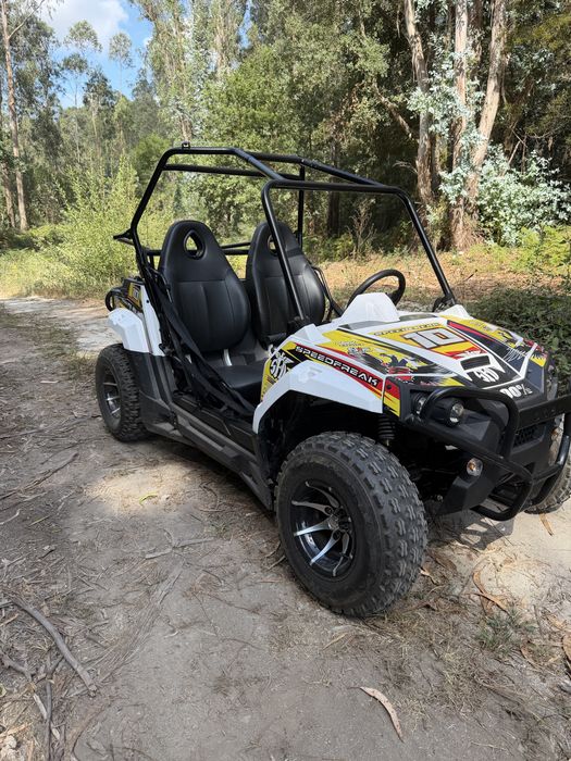 Mini UTV a Gasolina 2 Lugares | Automático