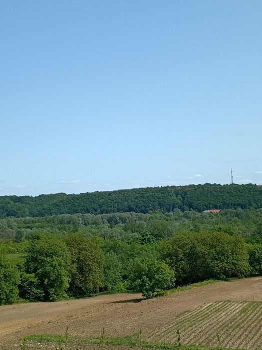 Widoki Kazimierz dolny