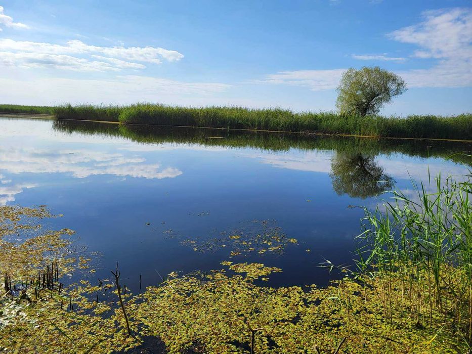 Дача біля Води та Лісу для Відпочинку!