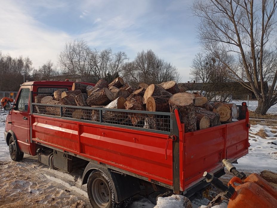 Sosna sucha Drzewo Drewno z transportem