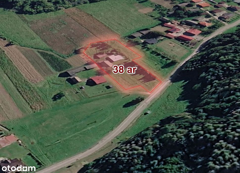 Siedlisko 38 arów z drewnianym domem - Bachów (Podkarpacie)