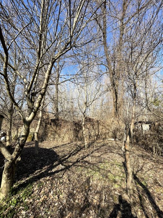 Дачка в лісі , біля води! ПРИВАТИЗОВАНА, Любимовка БЕЗ комісії