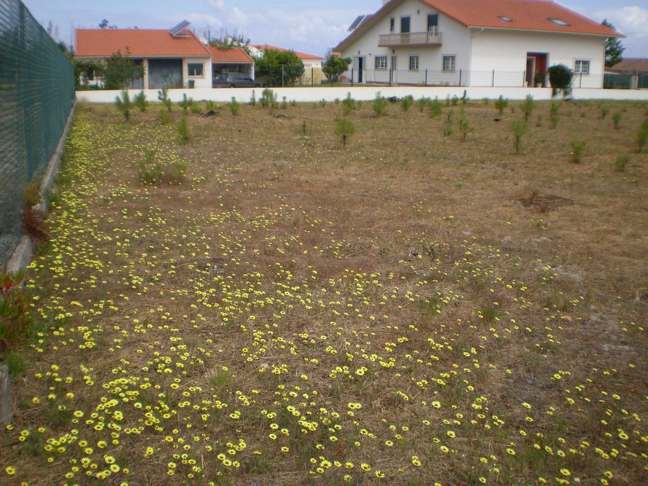 Terreno para construção