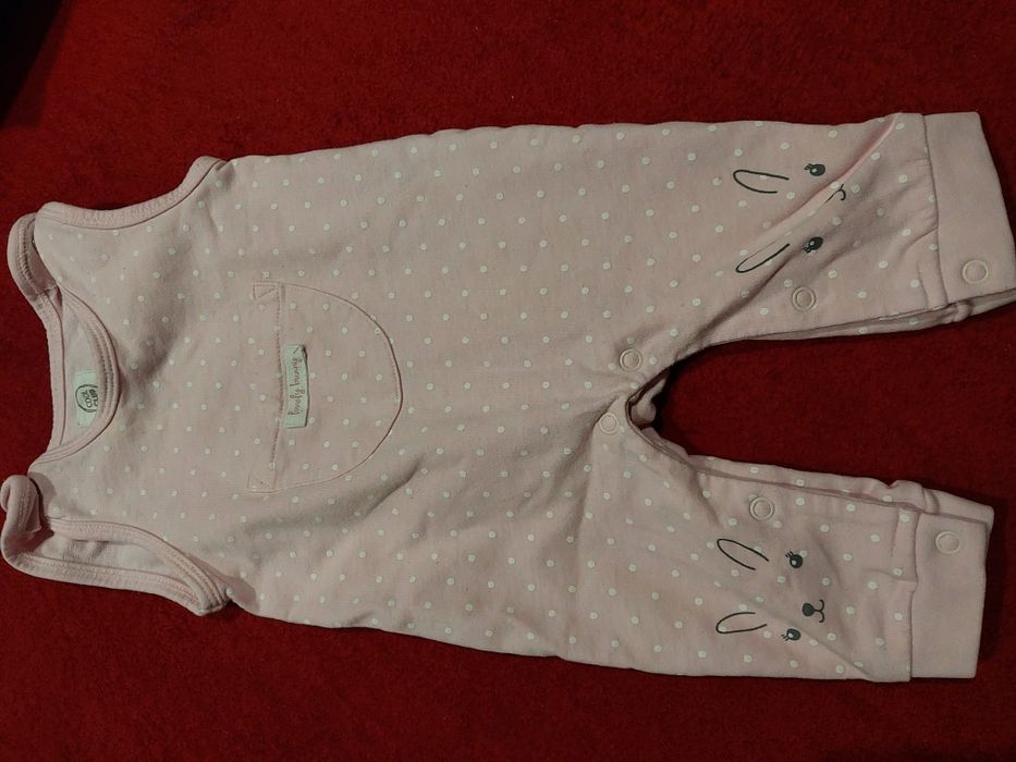 Śpiochy 62 króliczek