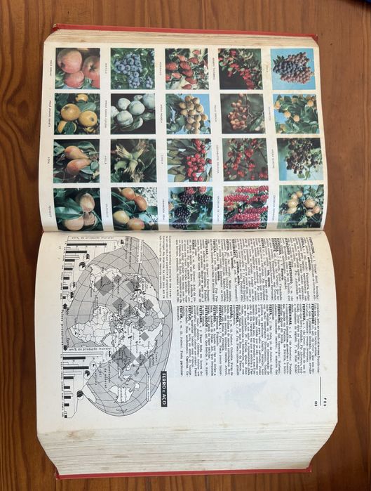 Lello Illustrated Practical Dictionary64752051603714122