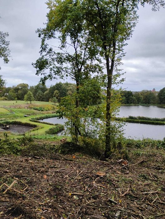 Sprzedam stawy hodowlane karpiowe