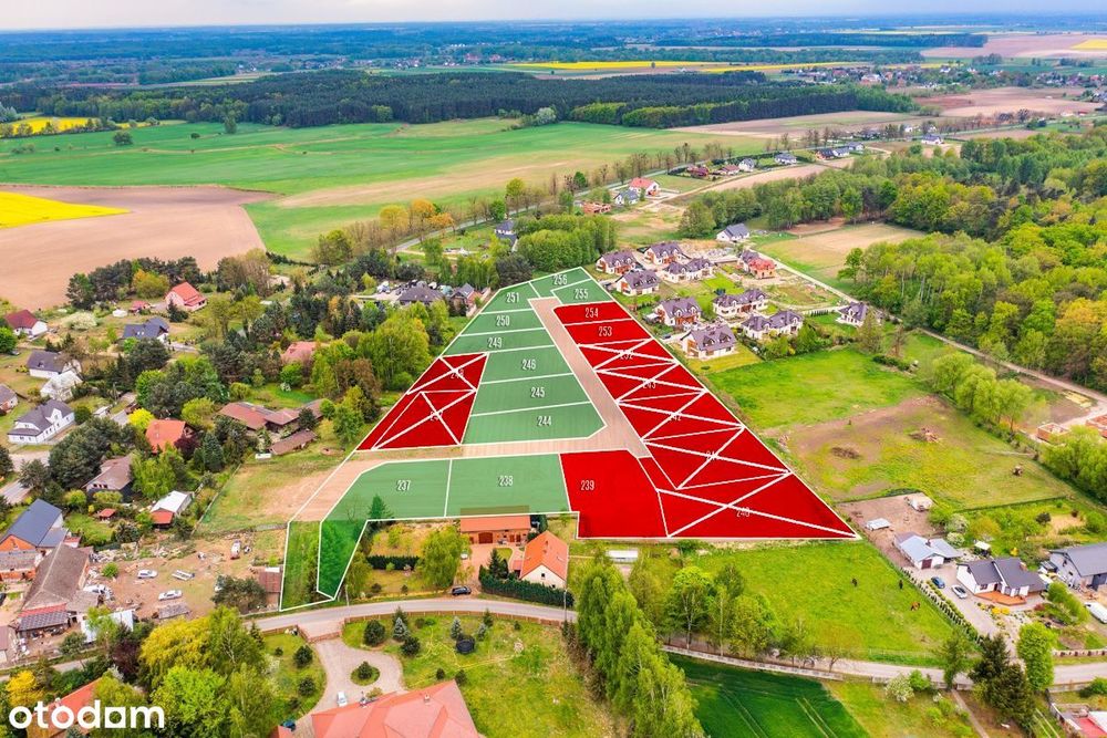 Działki budowlane w Piszkawie - Widok 5