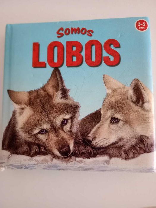 Livros infantis e Juvenis: