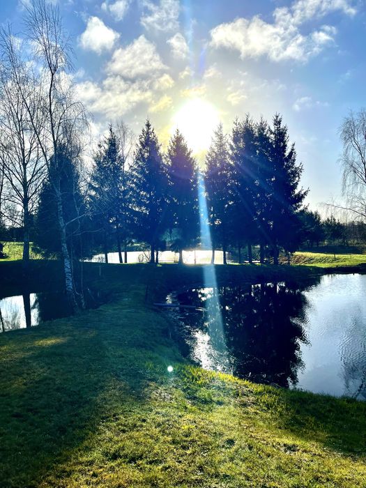 Klimatyczny Domek Nad Stawem -na wyłączność z balią w cenie