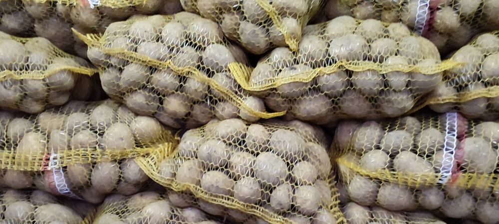 Ziemniaki jadalne żółte Jurek.