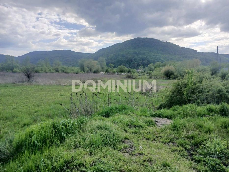 Продаж / Земля сільгосппризначення / Шаян