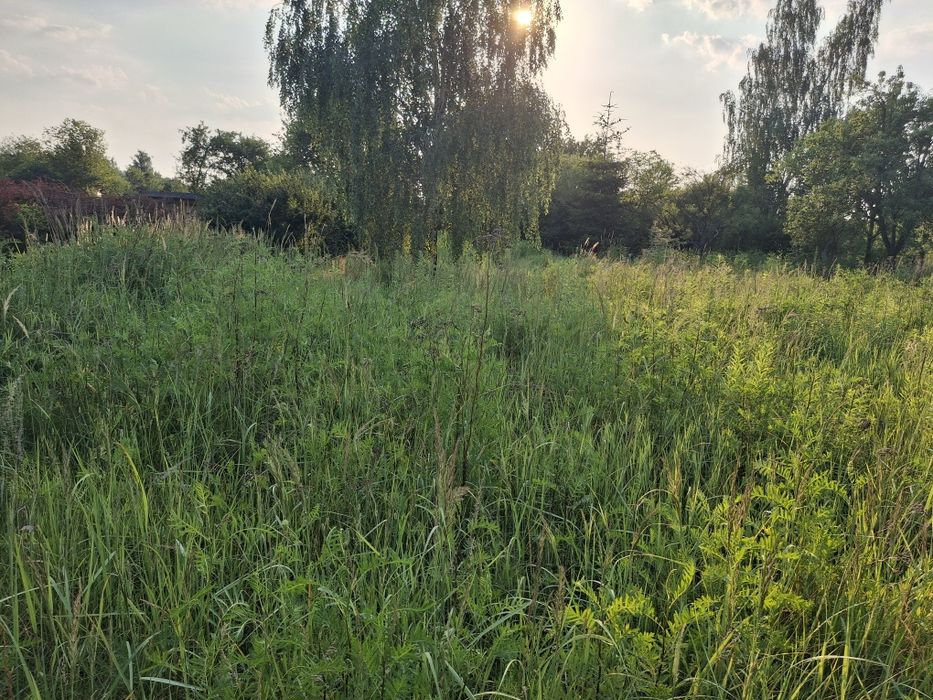Dwie działki ROD Zadębie