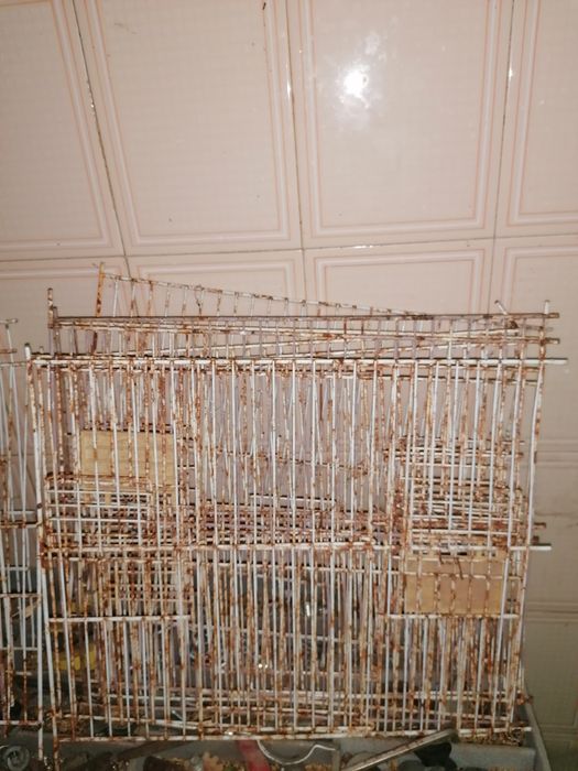 Frentes para gaiolas troco por aves