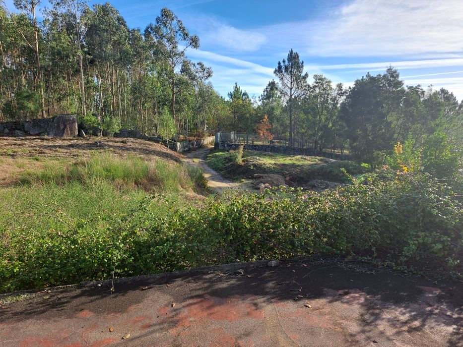 Vende-se terreno rústico inserido em zona de reserva florestal