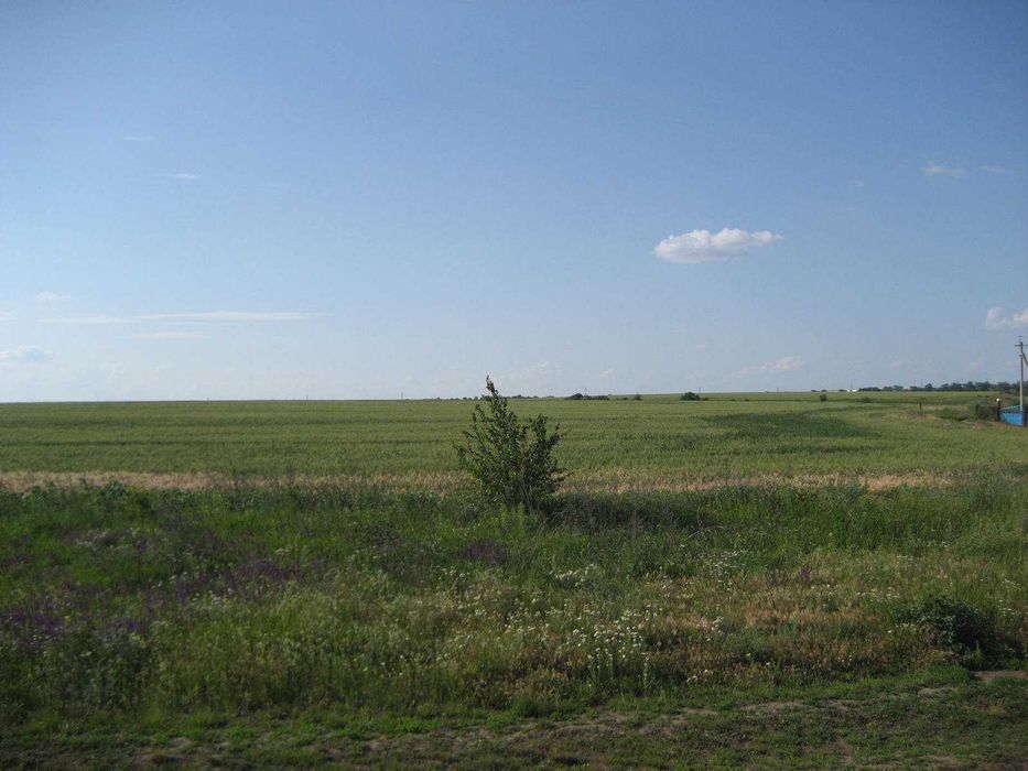 г. Южный. Продажа зем. участка рядом с морем 5,5 Га. БЕЗ %.