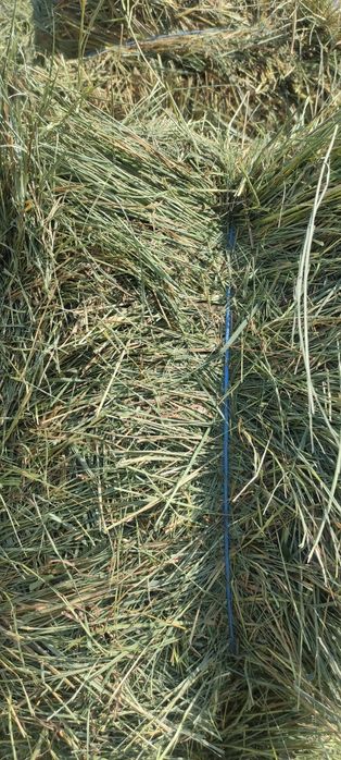 Продам сіно лугове , люцерна , хорошої якості в тюках