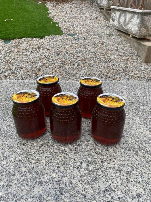 Mel Multifloral de Produção Própria – Região de Lamego