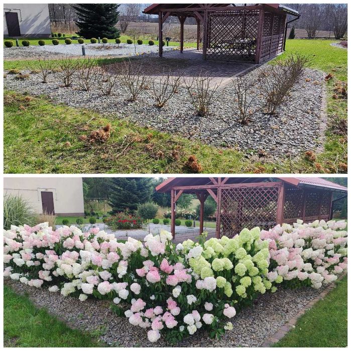 Usługi ogrodnicze
