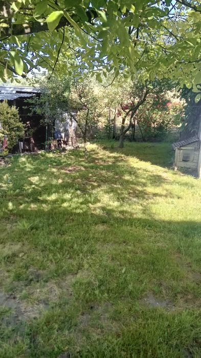 Sprzedam dom w Sandomierzu – další