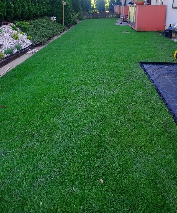 Tarasy drewniane, deski tarasowe, modrzew syberyjski, trawa z rolki