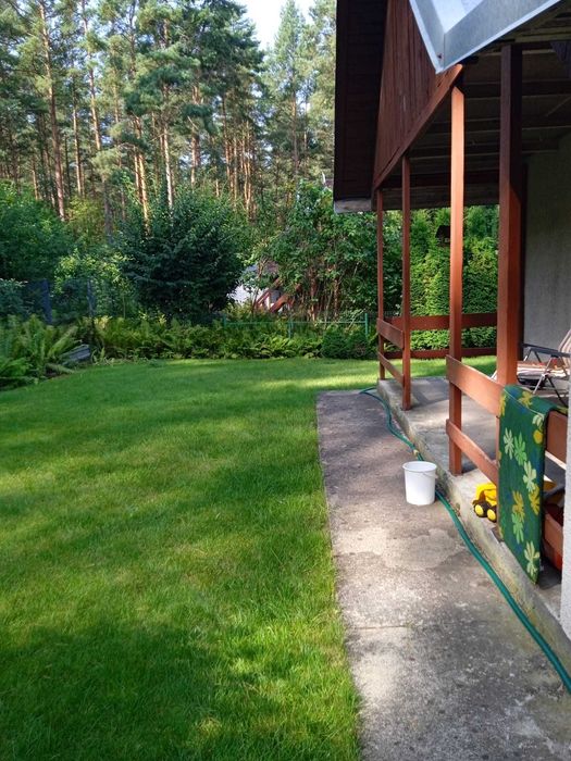 Ogródek Działkowy ROD przy ŚCIANIE LASU Białystok/Wasilków - Widok 4