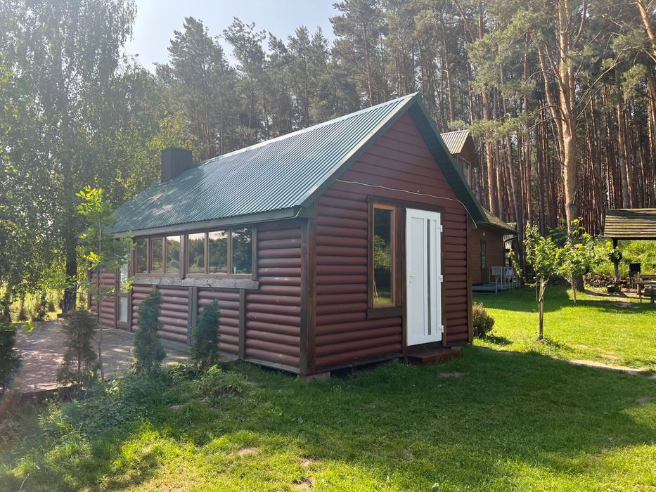 Відпочинок оренда будинку баня на березі озера Велике Облапи