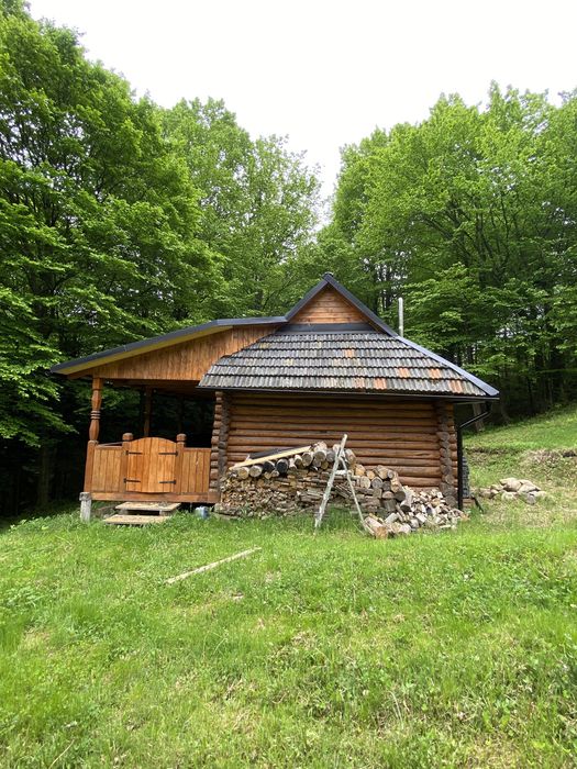 Будинок в карпатах - Fler
