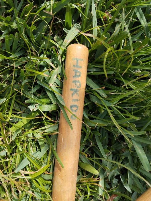 Bastão  treino Hapkido