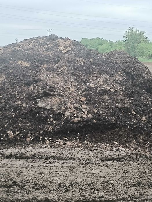 Kompost popieczarkowy