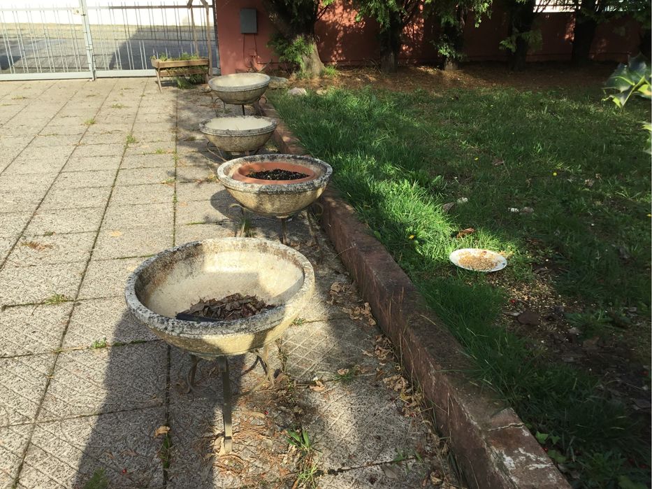 Vasos cimento com suporte