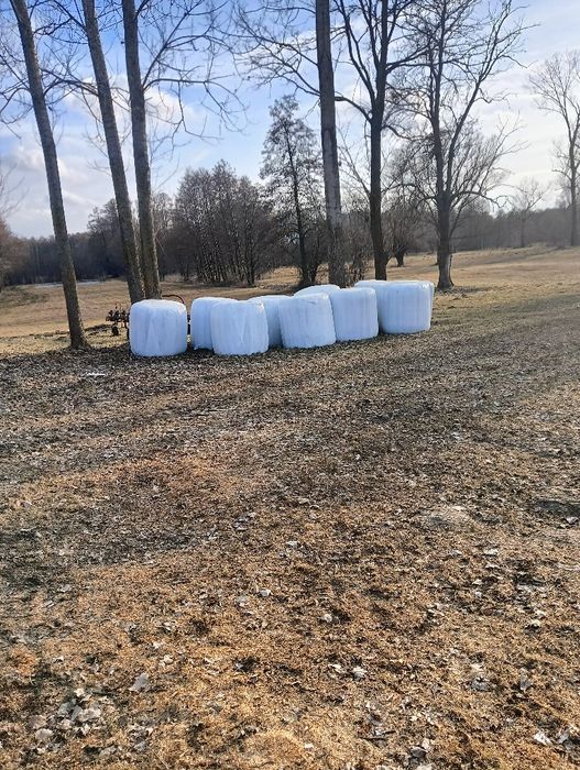 Sprzedam słomę , siano , sianokiszonkę