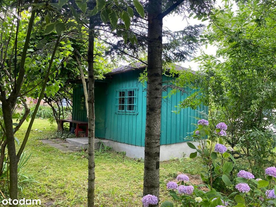 ROD Magnolia działka rekreacyjna, Bielsko-Biała