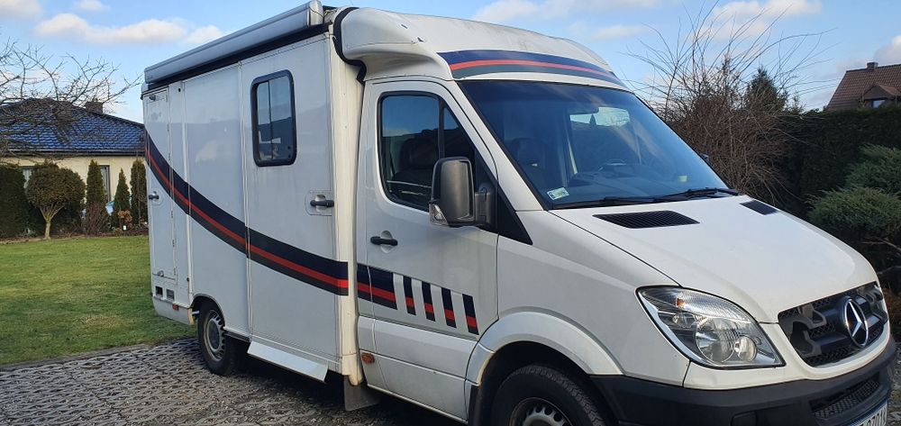 Mecedes Benz Sprinter 2009 .