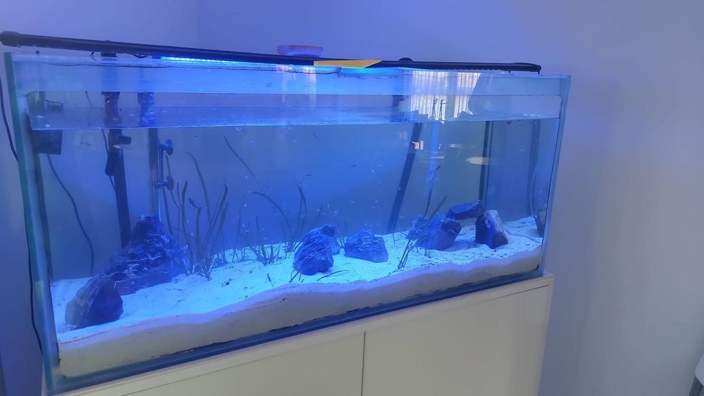 Aquário totalmente equipado com móvel reforçado