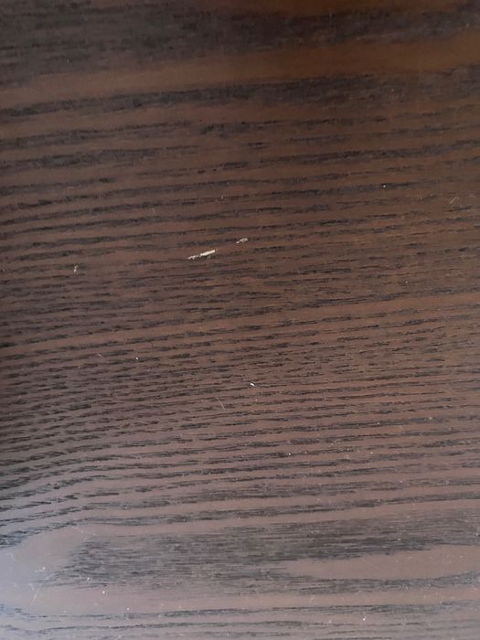 stolik kawowy Westwing