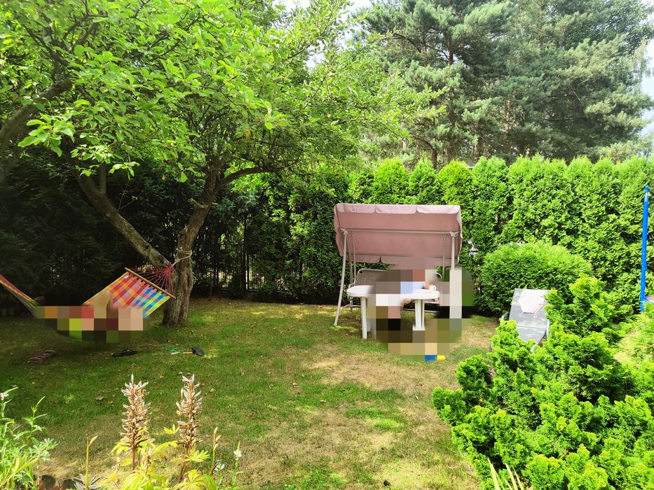 Działka ROD Oaza Romanów