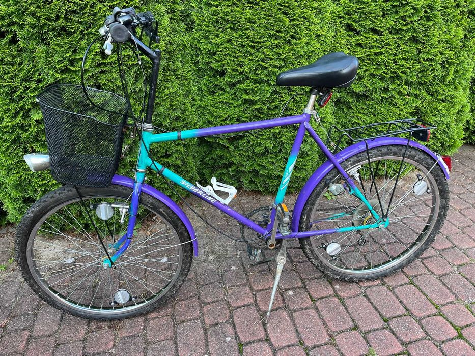 Rower trekkingowy męski