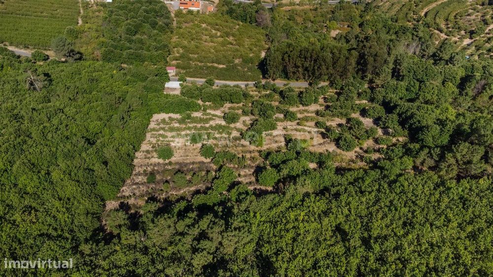 Quinta V0 Aldeia Nova do Cabo Fundão