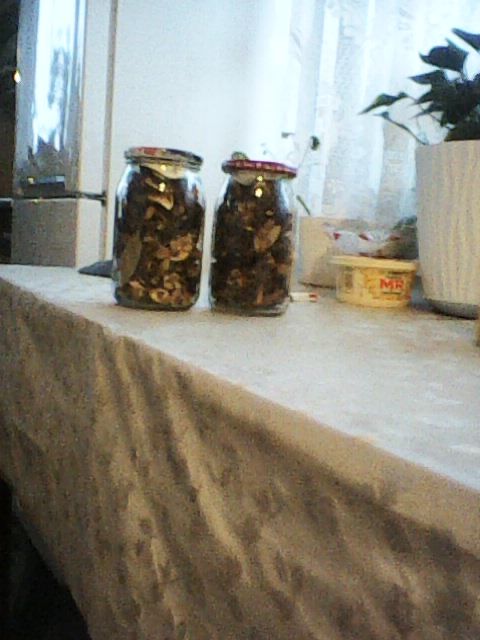 Slrzedam suszone grzyby .  4 sloiki 1l Borowik szlachetny i podgrzybek