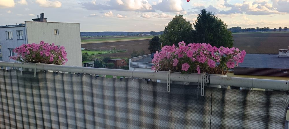 Sprzedam mieszkanie bezczynszowe