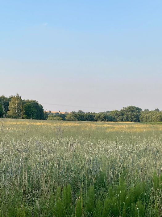 Działka budowlana - Widok 5