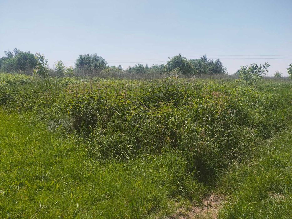 Продаж ділянки в с. Конопниця - ділянка за містом - земельна ділянка