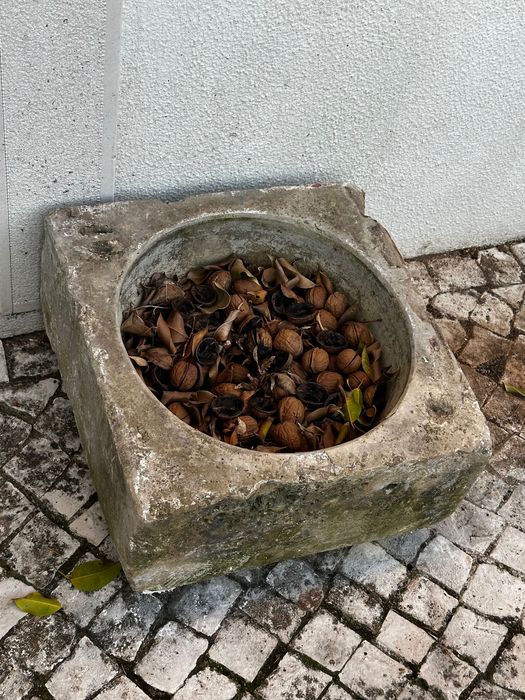 Pia antiga em pedra lioz